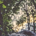 Alpha - Screenshot 1